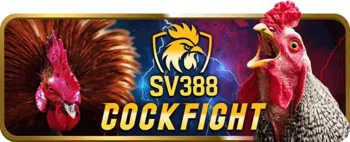 Hỗ trợ khách hàng Winbet88 24/7